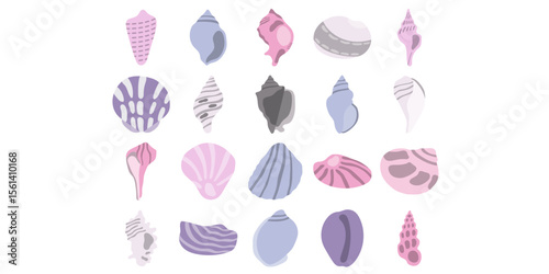 Sea Shell