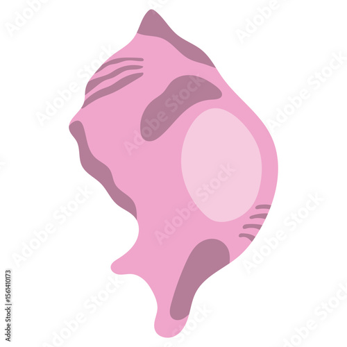 Sea Shell