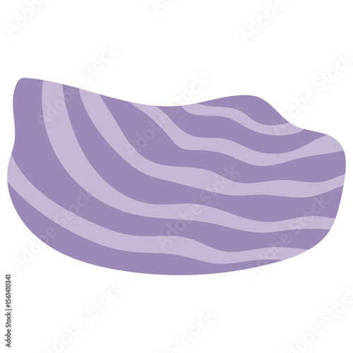 Sea Shell