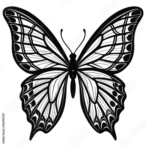 Detailed Butterfly Wings With Veins Visible Blac