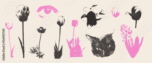 Photocopy flowers and cats head and human eye collage set. Tulips, primula and narcissus cutout elements. Pieces of magazine wildflowers. Vector illustration isolated on beige background.