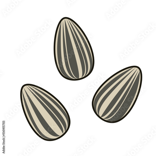 シンプルなひまわりの種のイラスト