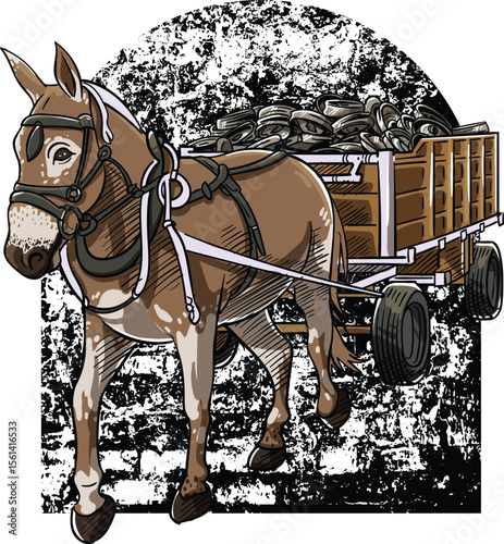 Mule Town Scrappers 