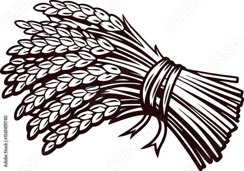 Hand drawn bundle of wheat ears tied with ribbon isolated on white vintage engraved agricultural illustration