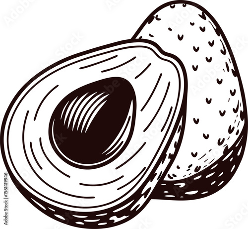 Hand drawn avocado with seed and half in vintage engraving isolated on white background illustration