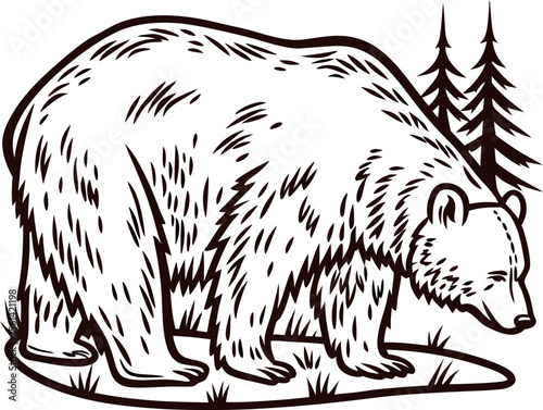 Hand drawn grizzly bear illustration grazing near pine trees in vintage engraving