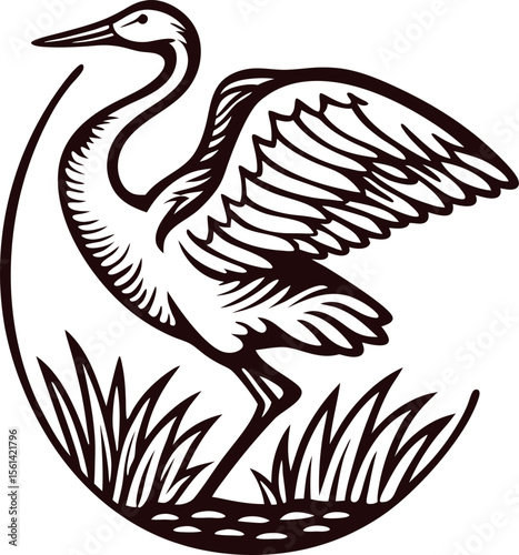Elegant hand drawn crane standing in marsh grass with wings spread in vintage engraved illustration