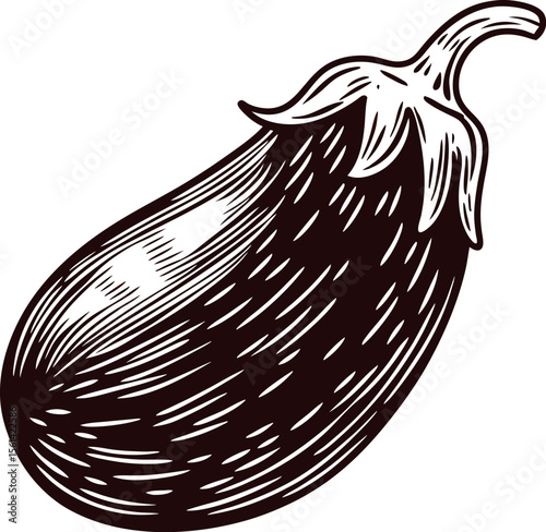 Hand drawn vintage eggplant illustration with detailed engraving and textured lines isolated on white background