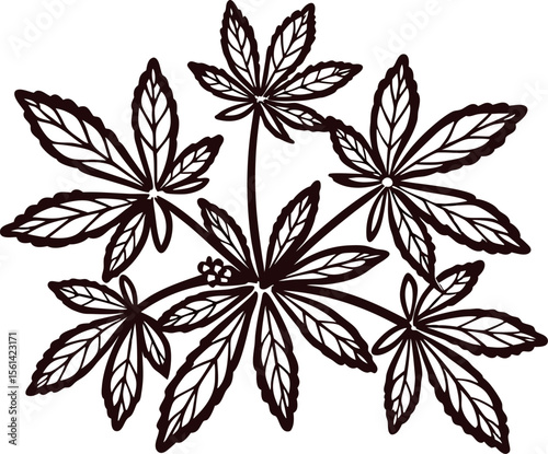 Hand drawn castor plant branch with leaves and seed pods isolated on white background illustration