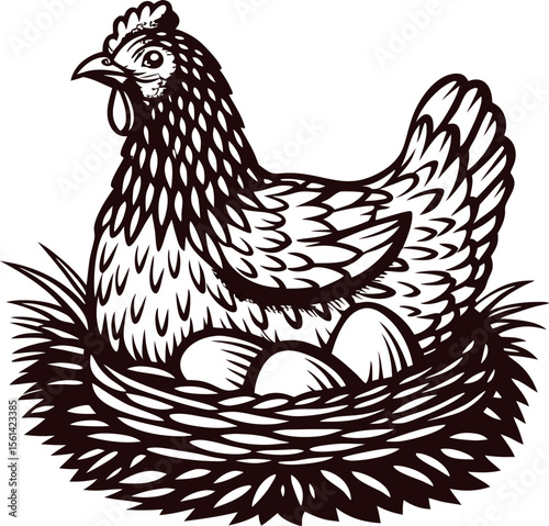 Hand drawn chicken sitting on nest with eggs vintage engraved farm animal illustration in retro engraving