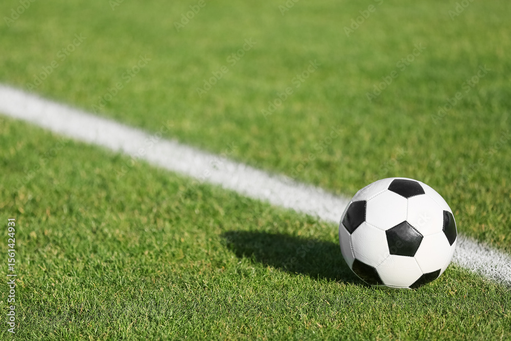 Fototapeta premium Soccer ball on green stadium grass