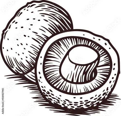 Hand drawn illustration of whole and half shiitake mushrooms in vintage engraved