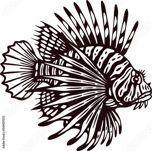 Detailed hand drawn lionfish illustration with elaborate fins and intricate line art on a white background