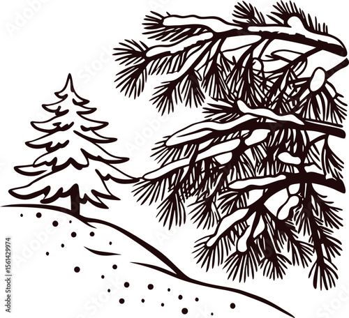 Snow covered fir trees on a hill in vintage engraving winter illustration, pine branches detailed line art