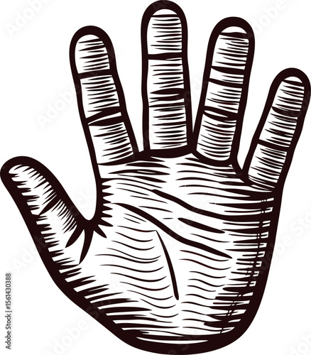 Vintage engraved illustration of an open human hand palm with detailed lines and textured shading