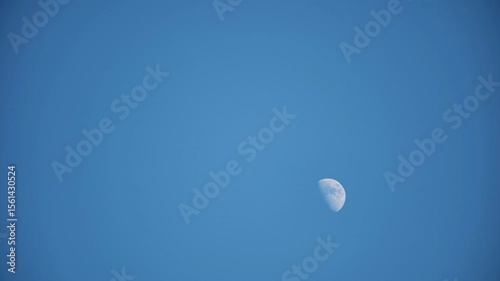 An airplane takes off against the moon and blue sky.