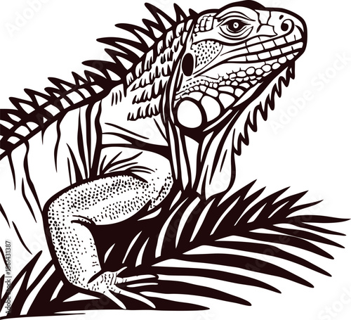 Detailed hand drawn iguana illustration in vintage engraving isolated on white background