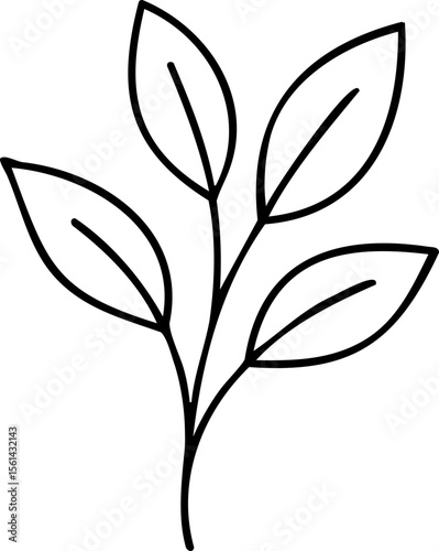 Delicate outlined plant stem with five leaves illustration