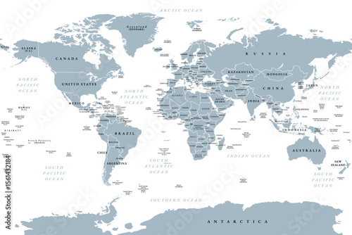 The world, gray political map with international country borders, continents, main oceans, and largest lakes, in a cylindrical projection. English labeling. Isolated illustration over white. Vector
