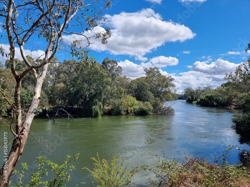 Gum trees and native Australian forest on the banks of the Murray River at Albury with a blue sky and clouds