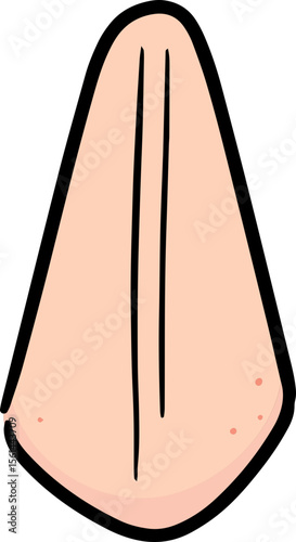 Illustration of nose
