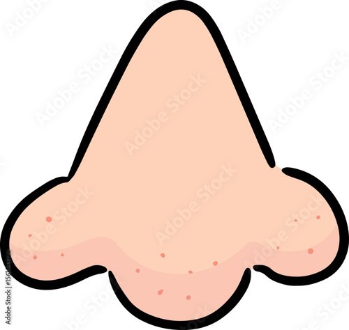 Illustration of nose
