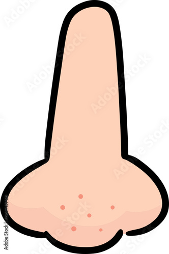 Illustration of nose
