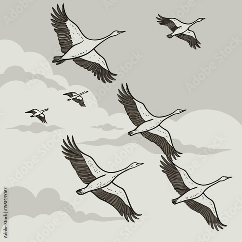 A flock of cranes soars gracefully through a cloudy sky in a monochrome illustration style image