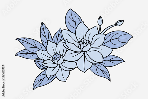 Elegant hand drawn botanical ink sketch of delicate flowers