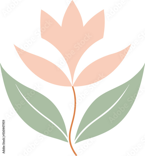 radiant stripe leaf mix