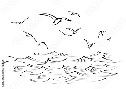 Flock of birds with blue sea.