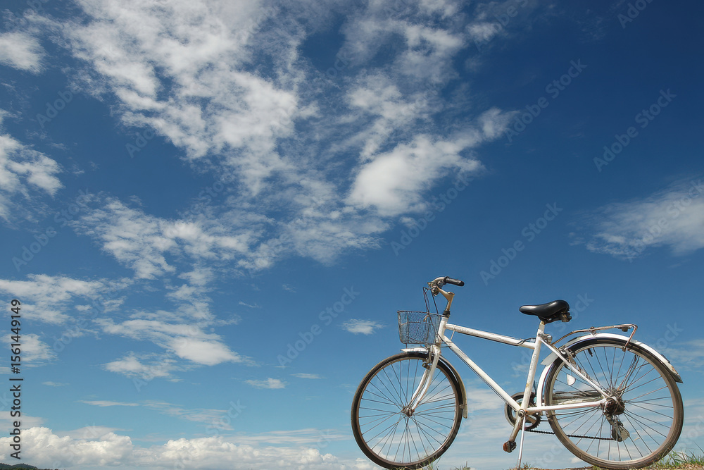 Fototapeta premium bicycle on the road