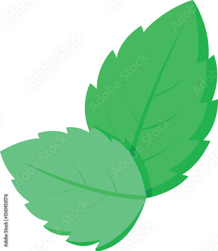 cool tone botanical blast