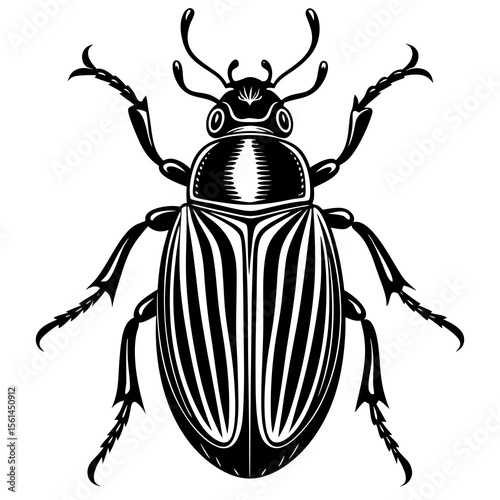 Stylized black and white illustration of a beetle with striped wings