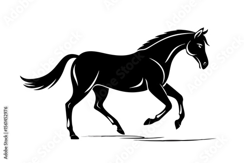 horse silhouette isolated on white