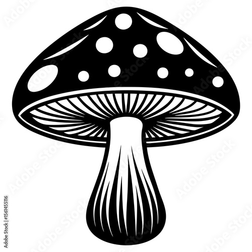 fly agaric mushroom