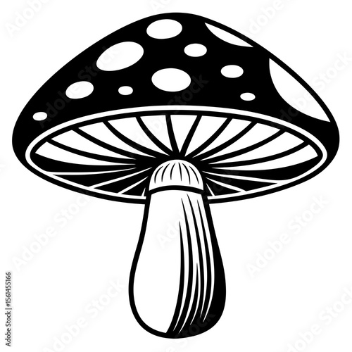 fly agaric mushroom