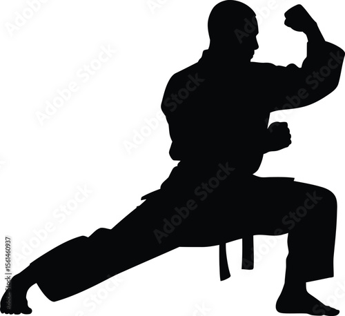 Karate Fighter Pose Silhouette Vector Illustration