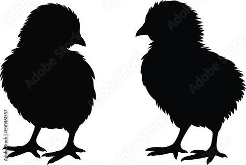 Baby Chicks Silhouette Vector Illustration