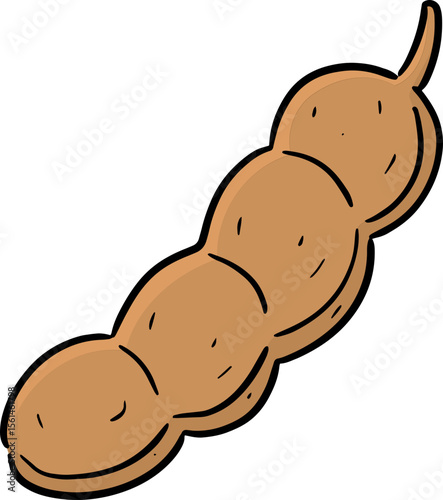 Illustration of tamarind
