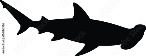 Hammerhead Shark Silhouette Vector Illustration