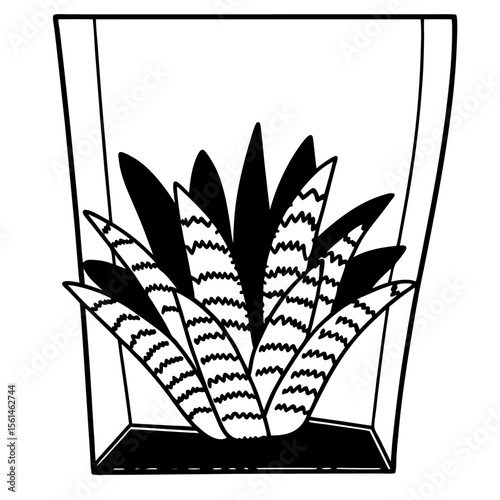Succulent Terrarium Vector Illustration Black and White Plant Art
