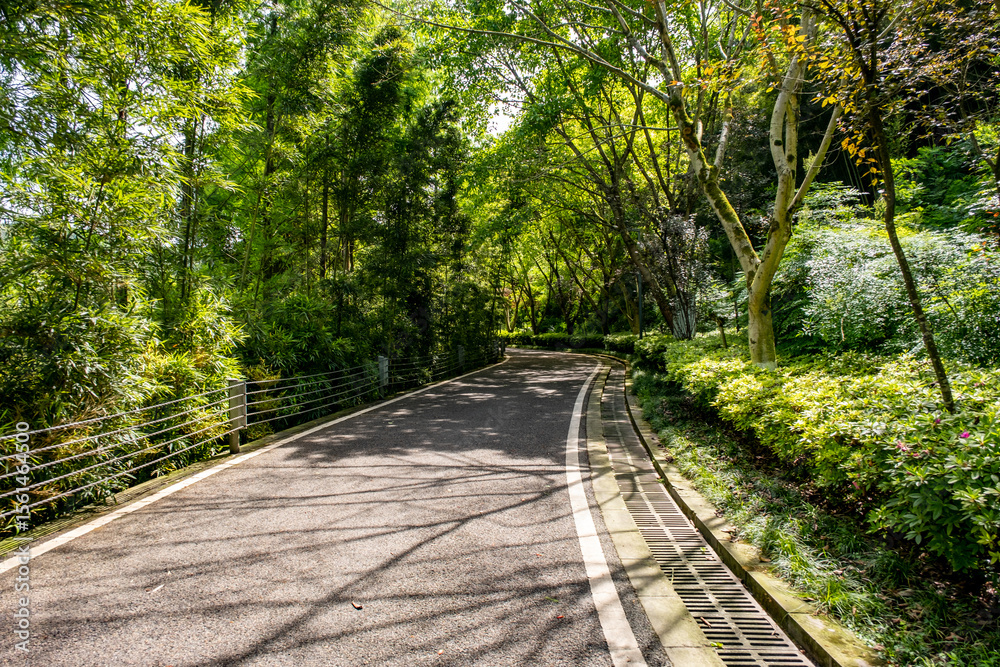 Obraz premium Chongqing Garden Expo Park is a thoughtfully designed combination of ecological restoration, cultural exhibit, and horticultural artistry, Yubei District Longjing Lake