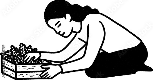 Farmer harvesting lettuce by hand sketch for agricultural design