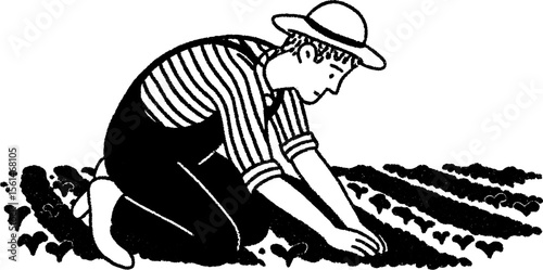 Farmer planting seedlings in rows for agricultural design