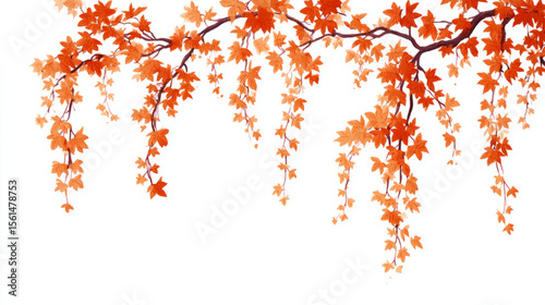 Orange and burgundy autumn vines with minimal falling leaves on white background