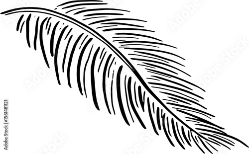 Tropical Leaf Sketch for Organic Product Branding
