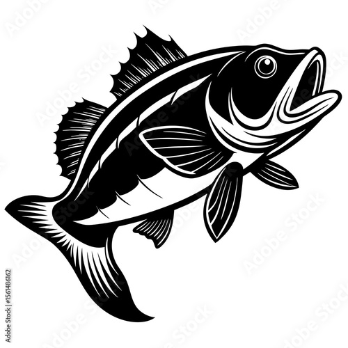 fish vector illustration