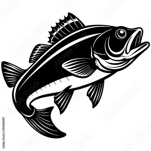 fish on a white background