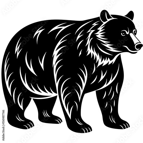 bear vector illustration